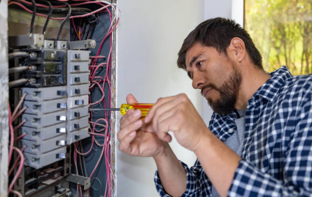 Best Electric Panel Repair  in Bethalto, IL